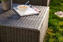 Central Park Hoekbank Loungeset Alea Grijs Staal/riet 3-delig 17 Central Park Hoekbank Loungeset Alea Grijs Staal/riet 3-delig -Tuinmeubelen Winkel 1200x800 259