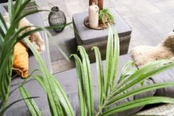 Fonteyn | Loungeset Connor | Melange -Tuinmeubelen Winkel 1200x800 335