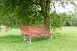 MaximaVida Tuinbank Budapest Oil 170 Cm - Uit Exclusief Mahoniehout -Tuinmeubelen Winkel 1200x800 64