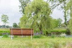 MaximaVida Tuinbank Budapest Oil 170 Cm - Uit Exclusief Mahoniehout -Tuinmeubelen Winkel 1200x800 65